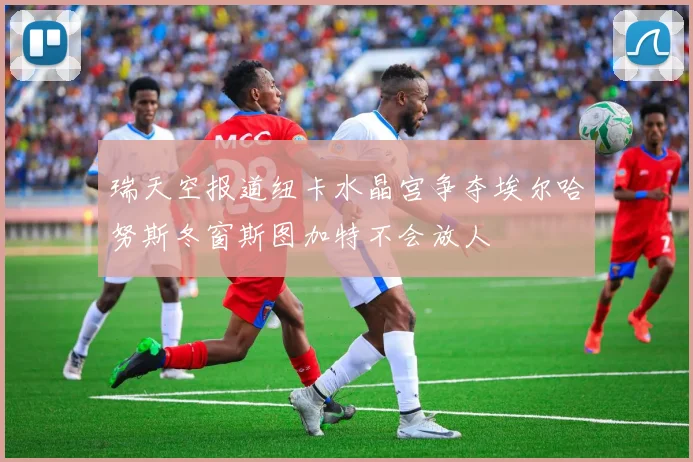 瑞天空报道纽卡水晶宫争夺埃尔哈努斯冬窗斯图加特不会放人