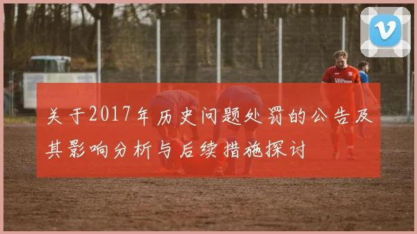 关于2017年历史问题处罚的公告及其影响分析与后续措施探讨
